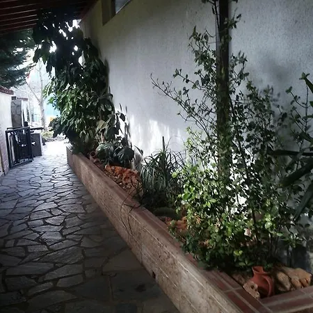 Niki's Διαμέρισμα Κακοπετριά