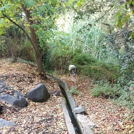 Διαμέρισμα Niki's