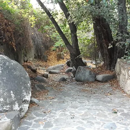 Niki's Kakopetria
