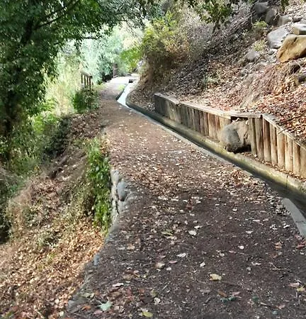 Niki's *